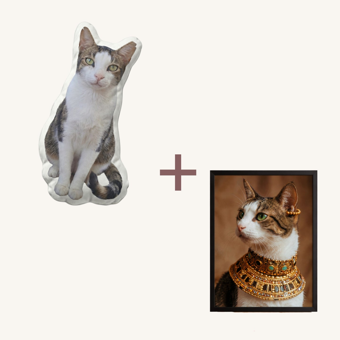 The Classic Bundle