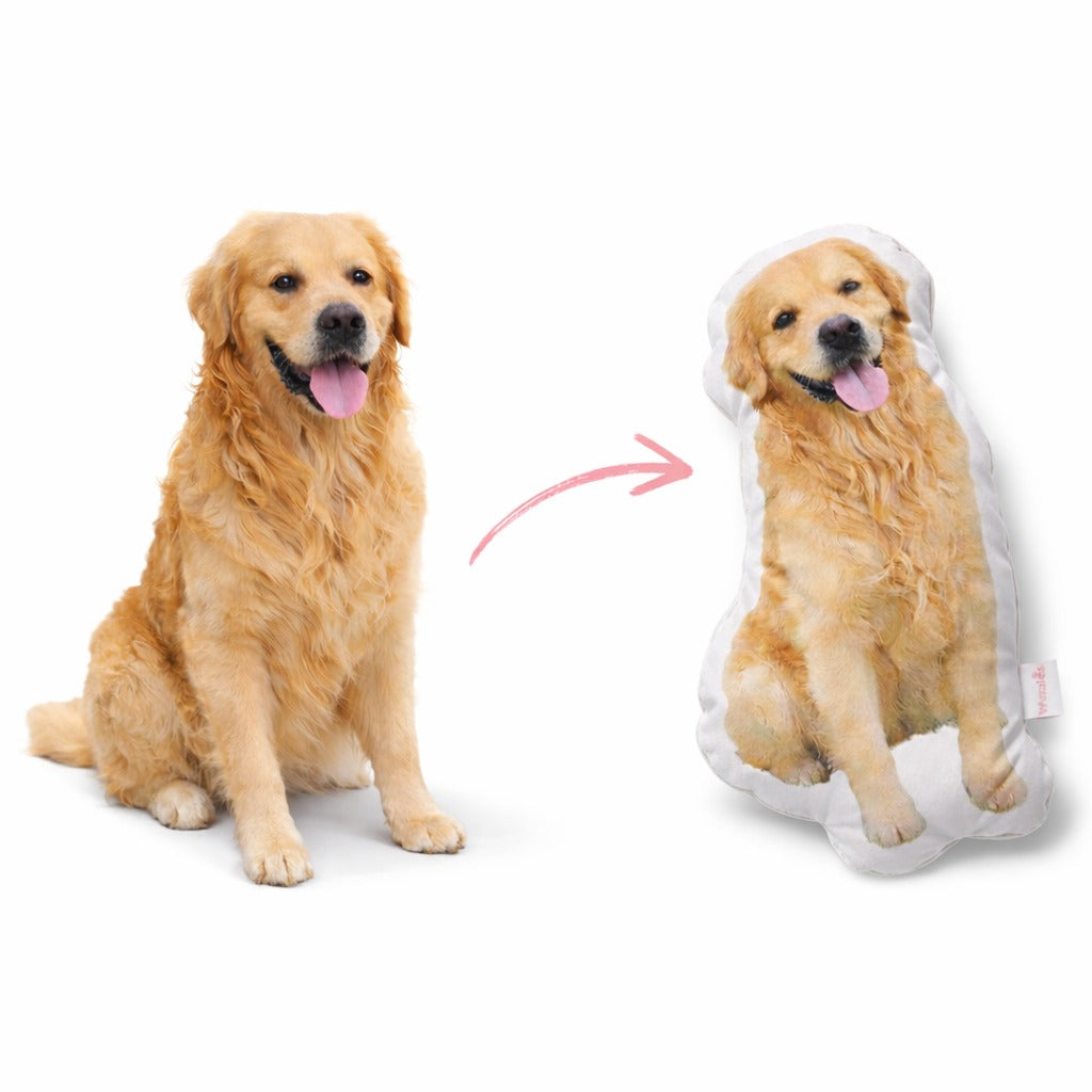 Custom Pet Pillow