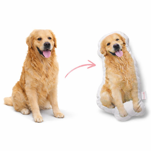 Custom Pet Pillow